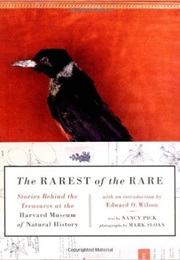 The Rarest of the Rare: Stories Behind the Treasures at the Harvard Museum of Natural History (Nancy Pick)