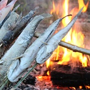 How to Catch, Scale, Cut & Cook a Fish Over an Open Fire