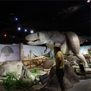 Las Vegas Natural History Museum