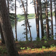 Scenic State Park, Minnesota