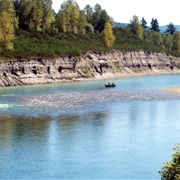 Cowlitz River