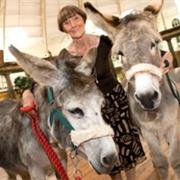 Freshfields Donkey Sanctuary