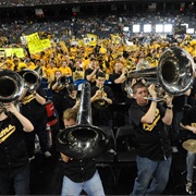 College Pep Band