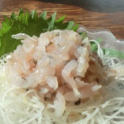 Japanese Grenadier Anchovy (Coilia Nasus)