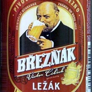 Breznak Svetly Lezak