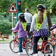 Bicycle Drivers License