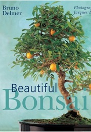 Beautiful Bonsai (Bruno Delmer)