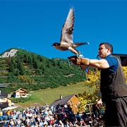 Galina Falconry Centre
