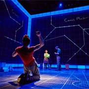 The Curious Incident of the Dog in the Night Time