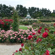 Victoria State Rose Garden