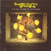 It's Not the End of the World- Super Furry Animals