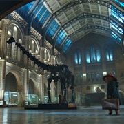 Natural History Museum, London (Paddington)