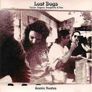 Amber Waves Goodbye - Lost Dogs