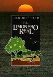 El Limonero Real, by Juan José Saer