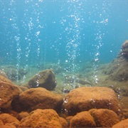Champagne Reef, Dominica