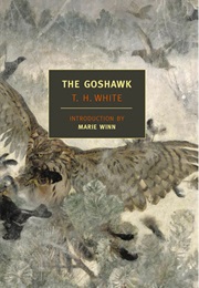 The Goshawk (T.H. White)