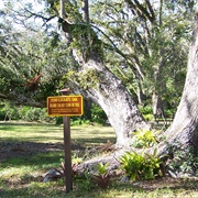 Sugar Mill Gardens, Port Orange Fl