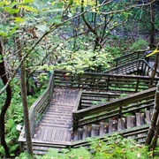 Devil's Millhopper Geological State Park, Florida