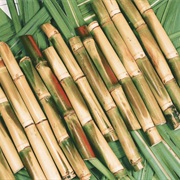 Sugarcane / Sugar Cane