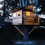 Create a Tree House