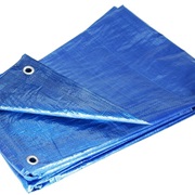 Tarp