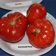 Germaid Red