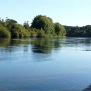 Waikato River Track (Mercer to Rangiri)