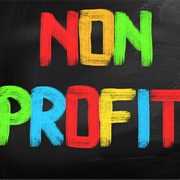 Work for a Non-Profit Organization