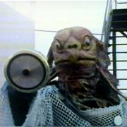 The Sea Devils