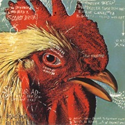 Pavement - Watery, Domestic