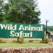 Wild Animal Safari