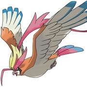 Mega Pidgeot