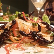 Scorpion Salad