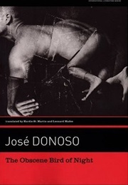 The Obscene Bird of Night (Jose Donoso)