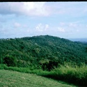 Barbados: Mount Hillaby (1,102 Ft)