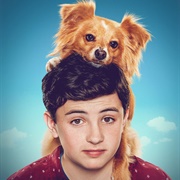 The Healing Powers of Dude