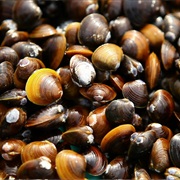 Chamjaecheop (Corbicula Leana)