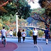 Parque Do Ibirapuera