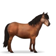 Shetland - Cherry Bay