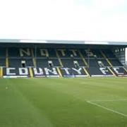 Meadow Lane