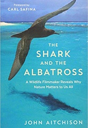 The Shark and the Albatross (John Aitchison)