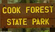 Cook Forest State Park