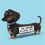 Buddy (Secret Life of Pets)