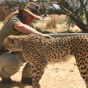 Volunteer at Animal Sanctuary