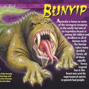 The Bunyip
