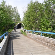 Tony Knowles Coastal Trail