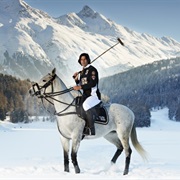 Channel Brigitte Bardot at St. Moritz