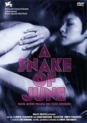A Snake of June (S Tsukamoto, 2002)