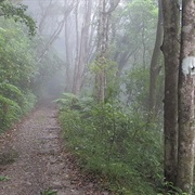 Richmond Range Alpine Track 2