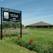 Living Prairie Museum